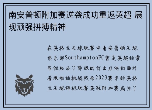 南安普顿附加赛逆袭成功重返英超 展现顽强拼搏精神